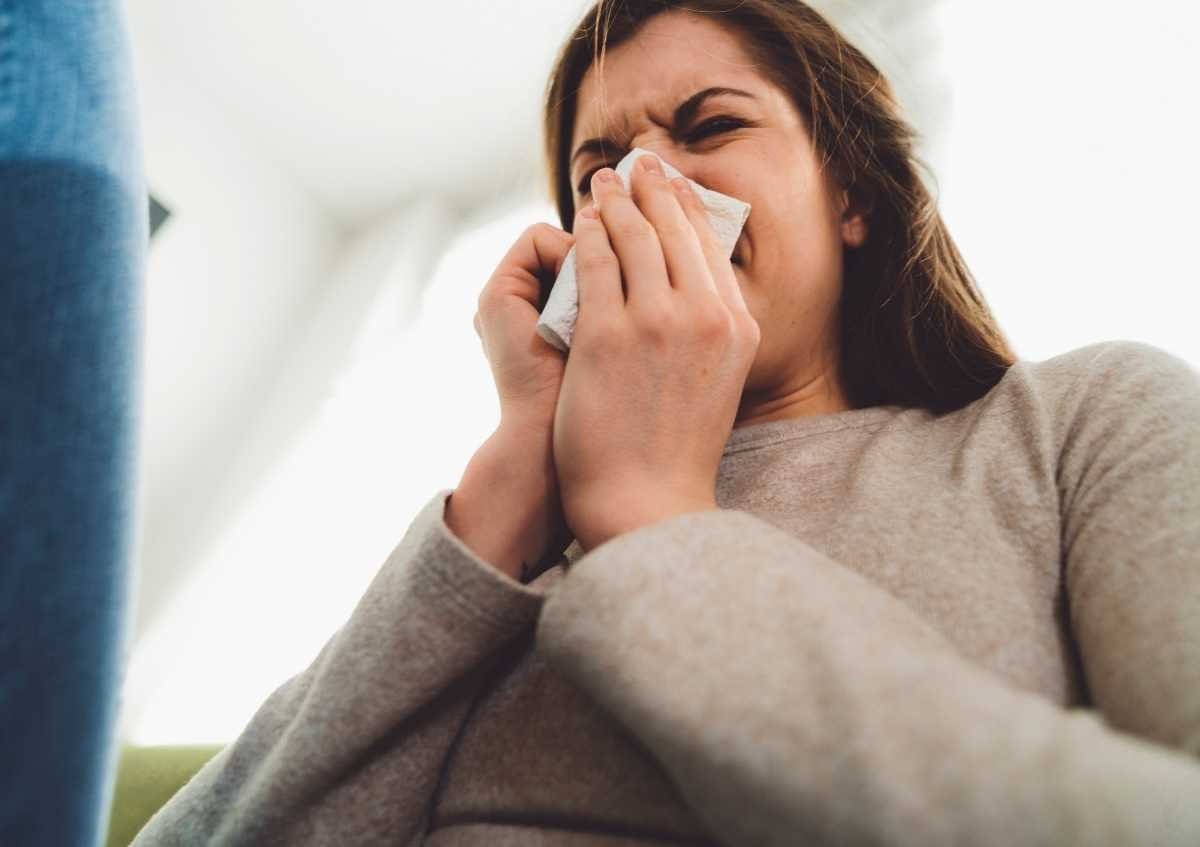 How are pollen allergic patients and asthma patients affected by coronavirus infection?