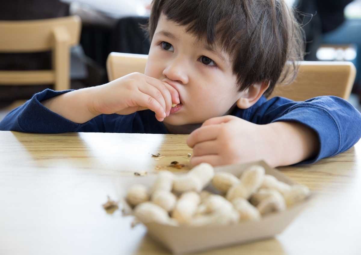 Why Is The Incidence Of Food Allergies Increasing In Children?